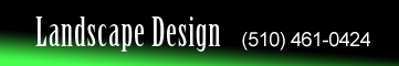 santay landscaping